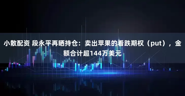 小散配资 段永平再晒持仓：卖出苹果的看跌期权（put），金额合计超144万美元