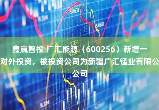 鑫赢智投 广汇能源（600256）新增一起对外投资，被投资公司为新疆广汇锰业有限公司