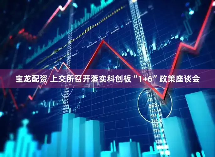 宝龙配资 上交所召开落实科创板“1+6”政策座谈会