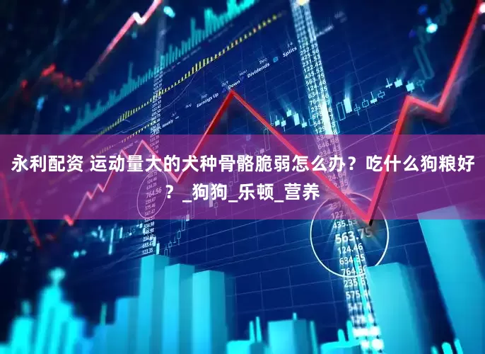 永利配资 运动量大的犬种骨骼脆弱怎么办？吃什么狗粮好？_狗狗_乐顿_营养