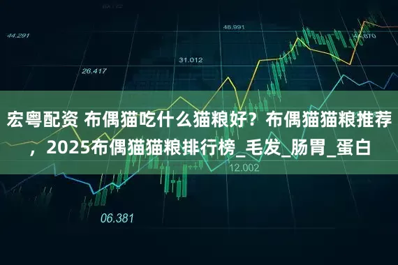 宏粤配资 布偶猫吃什么猫粮好？布偶猫猫粮推荐，2025布偶猫猫粮排行榜_毛发_肠胃_蛋白