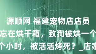 源顺网 福建宠物店店员误把狗狗遗忘在烘干箱，致狗被烘一个小时，被活活烤死？_店家_高温_漳州