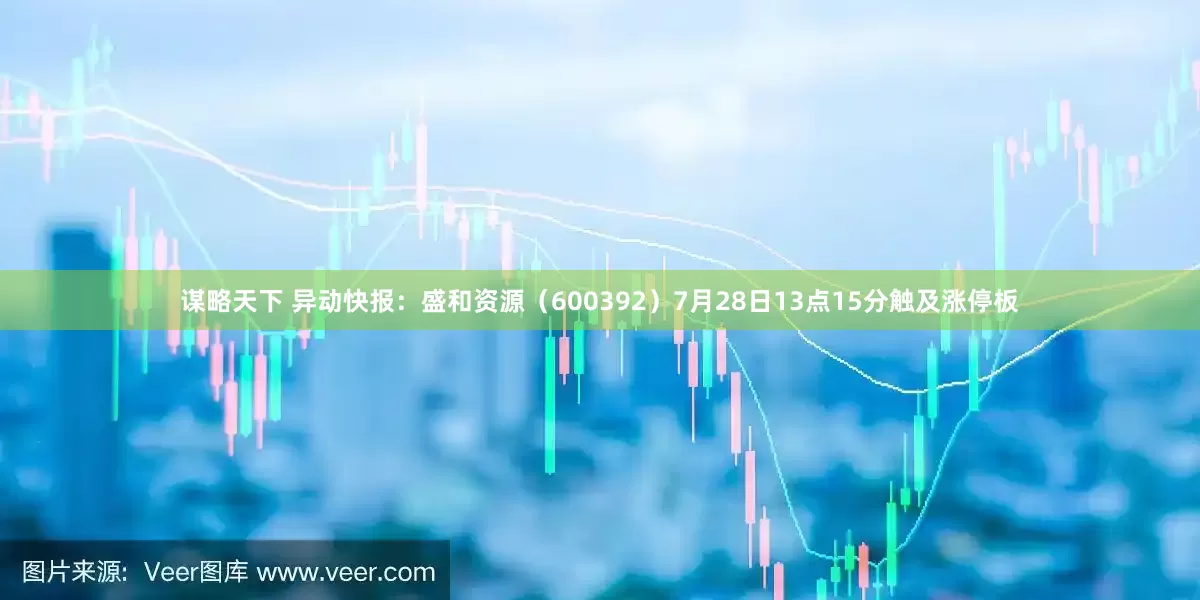 谋略天下 异动快报：盛和资源（600392）7月28日13点15分触及涨停板