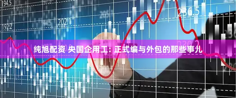 纯旭配资 央国企用工: 正式编与外包的那些事儿