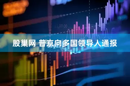 股巢网 普京向多国领导人通报