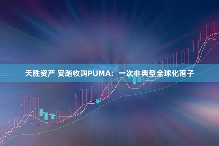 天胜资产 安踏收购PUMA：一次非典型全球化落子
