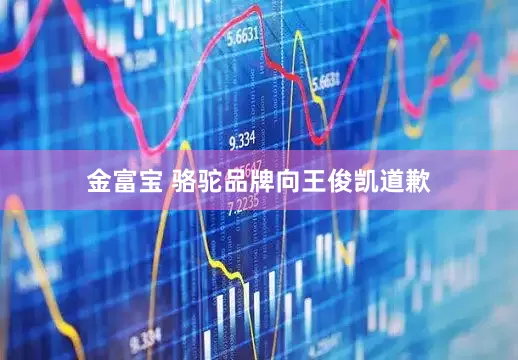 金富宝 骆驼品牌向王俊凯道歉